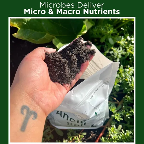 Vista 6 de Elm Dirt Ancient Soil Organic Garden Soil Enmienda del suelo, fundición