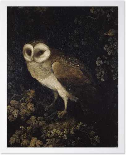 Vista 7 de Poster Master Póster vintage de búho – Impresión de pintura retro de búho – Arte Moody – Arte de pájaro – Gran regalo para hombres, mujeres, amantes