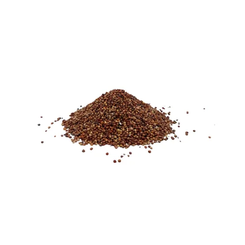 Vista 4 de Ernst Grain & Livestock Milo, sorgo rojo, sin OMG, perfecto para cultivadores de hongos, 10 libras