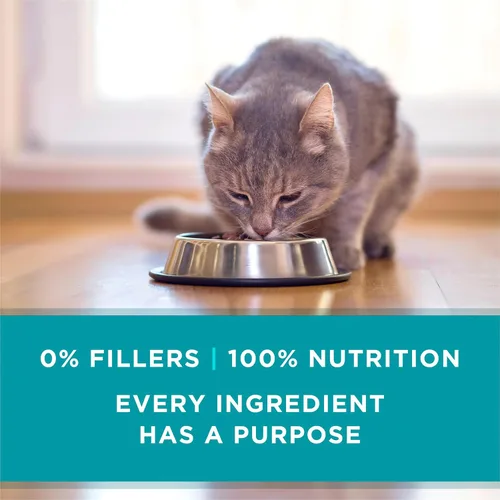 Vista 6 de Purina ONE Natural, alimento húmedo para gatos sin granos, paté, receta de pollo - (Paquete de 24) latas de 3 onzas con apertura fácil