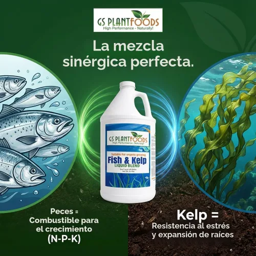 Vista 2 de GS Plant Foods Fertilizante Líquido de Pescado y Algas Kelp (1 Galón) – Alimento Vegetal Natural Listado por el Instituto de Revisión