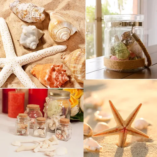 Vista 5 de Fangoo Conchas Marinas Mixtas de 1.5 LB, Más de 130 Piezas de Conchas Marinas de Playa Estrellas de Mar Conchas de Ostra de Varios Tamaños Conchas