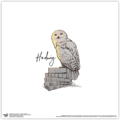 Vista 9 de Gallery Pops Harry Potter - Arte de pared Glimmer Hedwig, versión enmarcada negra, 12 x 12 pulgadas Versión con marco negro