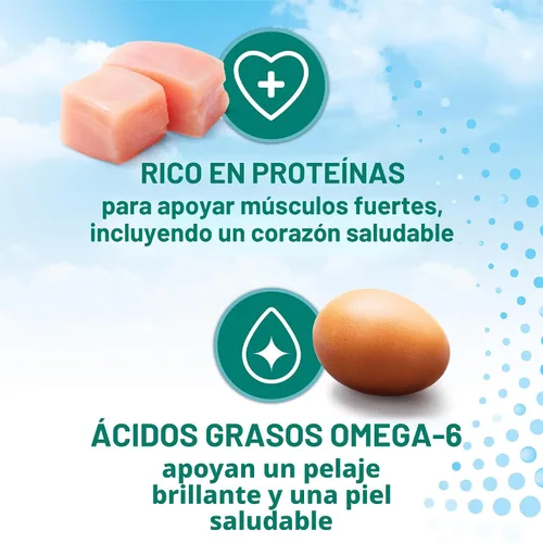 Vista 8 de Purina ONE LiveClear - Comida seca para gatos con reducción de alérgenos con pollo real como ingrediente principal - Bolsa de 3 libras