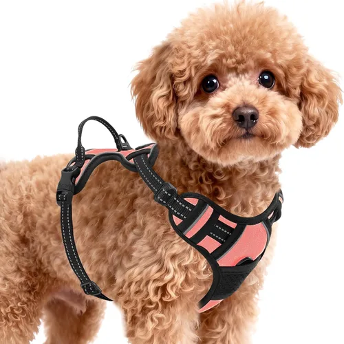 Vista 25 de BARKBAY Arnés para perro sin tirones para perros pequeños, ajustable, reflectante, cómodo, sin estrangulamiento, resistente, perfecto para Negro
