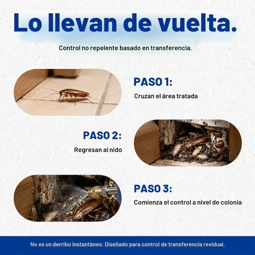 Vista 7 de Fipronil Plus-C concentrado insecticida, 16 onzas, hace 21 galones Mata cucarachas, hormigas, hormigas de fuego, insectos apestosos, arañas y más