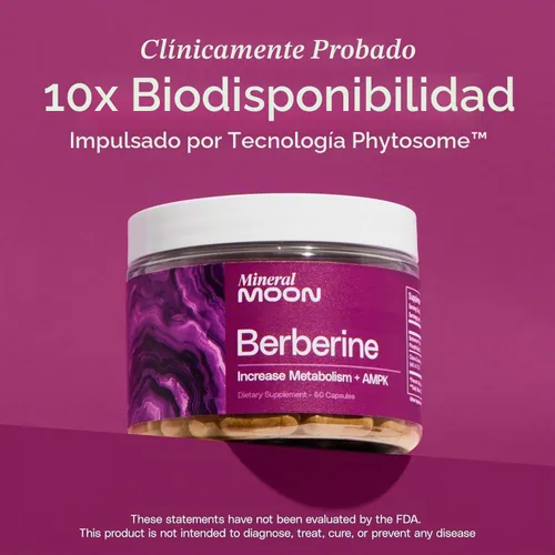 Vista 3 de Suplemento de berberina de primera calidad, composición corporal, 60 cápsulas - con Cissus Quadrangularis y fitosoma de berberina - Apoya