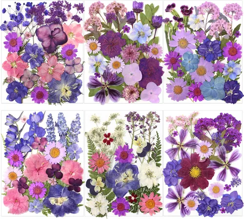Vista 11 de Kit de 140 hojas de flores secas prensadas para moldes de resina y Blanco Amarillo 140pcs