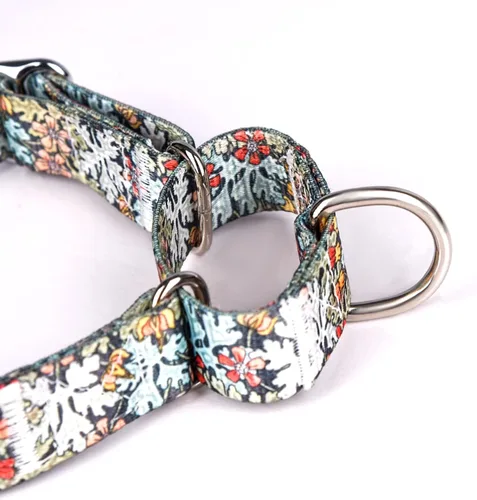 Vista 4 de Collar de perro de nailon resistente, collar ajustable de martingala para perros para caminar y entrenamiento para perros machos y hembras perros