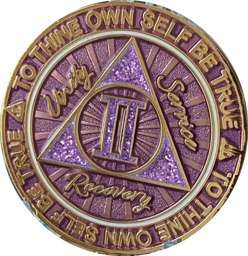 Vista 3 de 2 años AA Medallion Cosmic Purple Glitter Gold Plated Chip