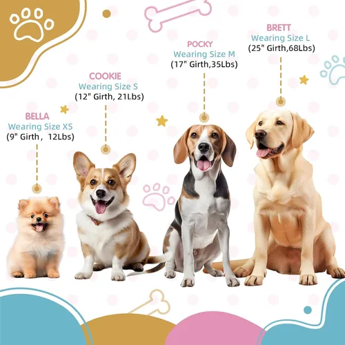 Vista 2 de Arnés de perro ajustable tricolor para perros pequeños y XS - Arnés resistente y fácil de caminar para cachorros, azul y rosa