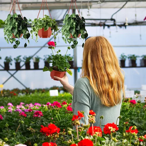 Vista 7 de Roshtia Macetas colgantes de plástico con gancho, 24 unidades, macetas colgantes para guardería, soporte para plantas interiores y exteriores Marrón