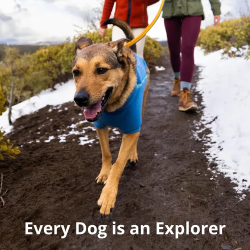 Vista 9 de Ruffwear, Roamer - Correa elástica para perro para correr, andar en bicicleta o senderismo, se puede utilizar de mano o manos libres, azul Orión