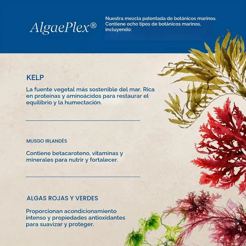 Vista 6 de Aquage Champú sedoso y lavado de cabello suave y seguro para el color, 8