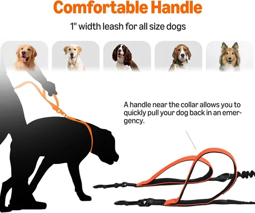 Vista 5 de Amazon Basics Correa para perro manos libres con bolsa para correr, cinturón ajustable, asas acolchadas dobles, correa elástica reflectante