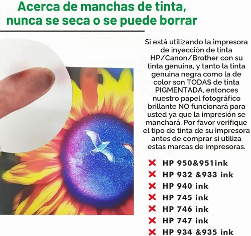 Vista 3 de Koala Papel de folleto brillante de doble cara 8.5x11 en 42LB 100 hojas