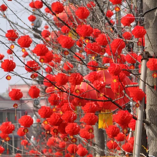 Vista 7 de 60 linternas chinas rojas para decoración de Año Nuevo, festival de primavera, boda, restaurante