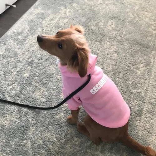 Vista 5 de BINGPET - Sudaderas con capucha de seguridad para perros, suéter para cachorros, abrigos para perros para clima frío, suéter con capucha de forro #1