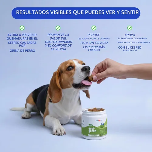 Vista 3 de Masticables para quemar hierbas, neutralizador de orina de perro y protector de césped