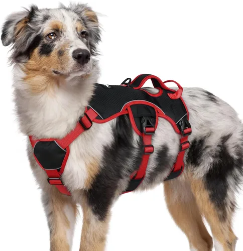 Vista 13 de rabbitgoo Arnés de perro a prueba de escape para pequeños, sin tirones con Negro