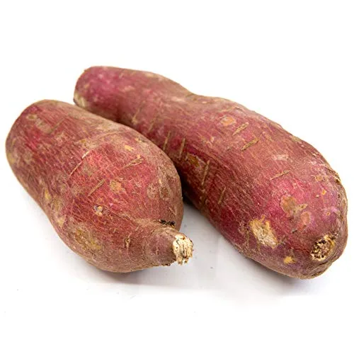 Vista 2 de Murasaki de batata japonesa fresca, caja de 6 libras