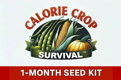 Vista 8 de Calorie Crop Survival Kit de semillas de 1 mes – Cultiva calorías de 30 días – Semillas de maíz, frijoles y calabaza – Polinización abierta