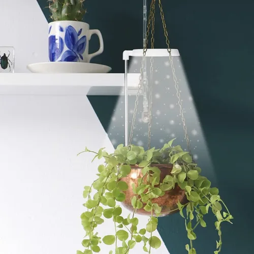 Vista 6 de GYTF Luz de cultivo de plantas Halo, lámpara LED blanca de 6000 K de espectro completo para plantas de interior, suculentas, mini bonsái, plantas