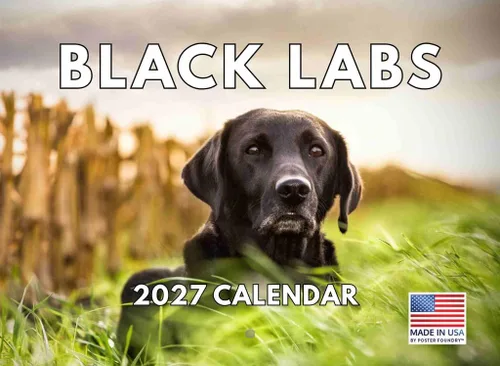 Vista 82 de Calendario mensual de pared Airedale Terrier Dog 2027
