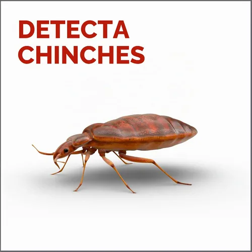 Vista 3 de Raid Detector y trampa de chinches de cama, para uso en interiores, 4