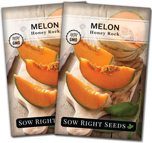 Vista 7 de Sow Right Seeds - Semillas de melón Honey Rock para plantar - Paquete de reliquia sin OMG con instrucciones para plantar un huerto casero - Cultiva