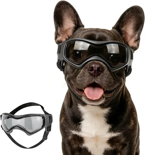 Vista 11 de Gafas de sol para perros de raza media, lentes reemplazables transparentes/negras, protección UV para perros medianos, protección ocular de perro