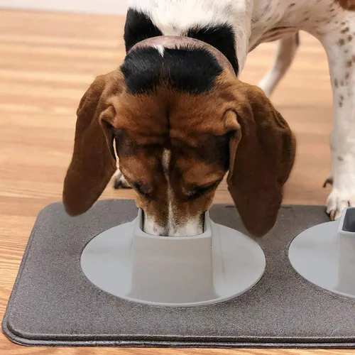 Vista 7 de Juego de cuencos y tapetes transparentes para perros, cuencos para alimentos y agua con paspartú, juego de bandeja de alimentación perfecto