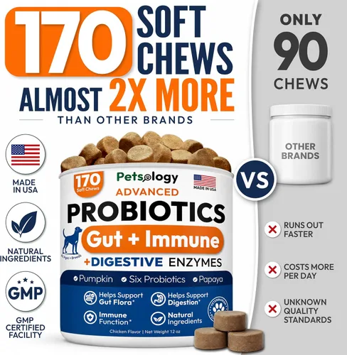 Vista 3 de (Paquete de 2) Probióticos para Perros - 340 Masticables Probióticos para Perros - Enzimas Digestivas y Prebióticos - Apoyan la Salud Intestinal