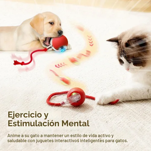 Vista 2 de Pelota de Gato Interactiva, Nuevas Bolas de Gato con Movimiento de Agilidad, Juguetes Automáticos de Bola para Gato con Cordón Imitación de Ratón