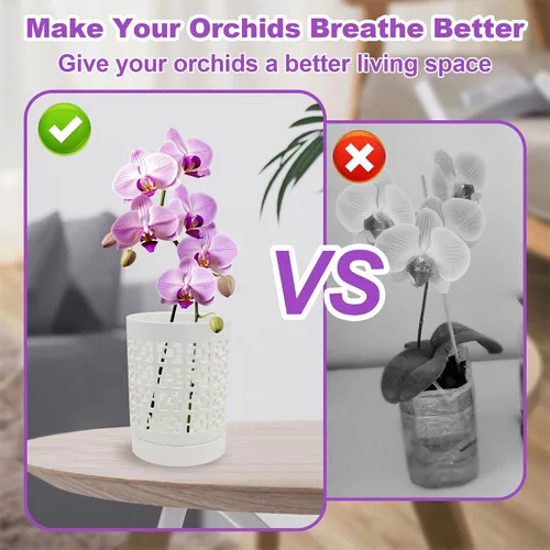 Vista 3 de Macetas de orquídea de cerámica de 4 pulgadas con agujeros, macetas