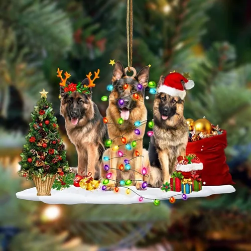 Vista 50 de Nazenti Adorno de Navidad personalizado con amigos Affenpinscher – Adorno de perro personalizado para amantes de las mascotas, acrílico plano