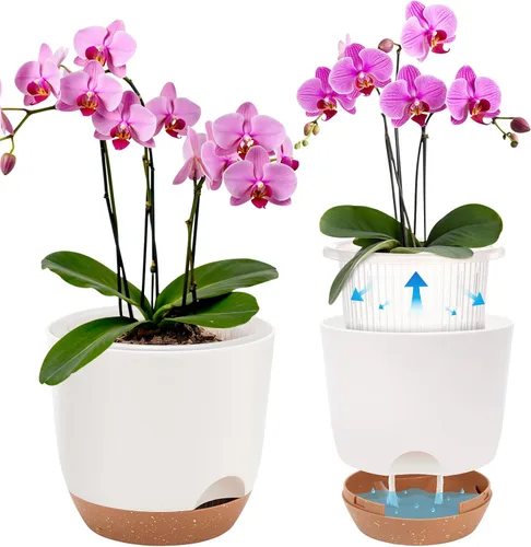 Vista 8 de Macetas de Orquídeas de Riego Automático para Plantas de Interior, 5.8 Pulgadas Macetas para Orquídeas, Macetas de Flores para Plantas
