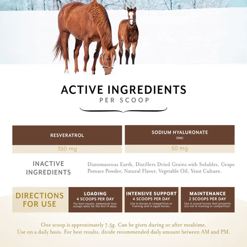 Vista 3 de Equithrive Suplemento original para caballos en polvo, sabor melaza, 8 libras