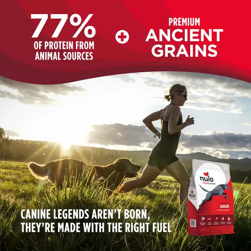 Vista 2 de Nulo Frontrunner Ancient Grains - Alimento para perros con alto contenido de proteínas, receta de carne de res, cebada y cordero, alimento seco