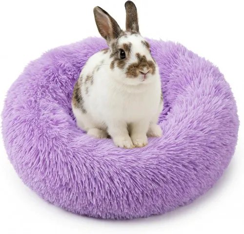 Vista 31 de Cama pequeña para perros extra pequeños para caniche de juguete Chihuahua Pomerania