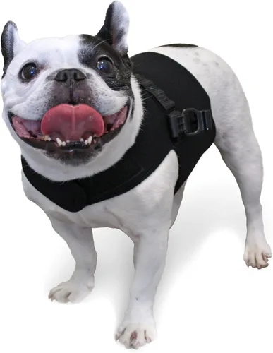 Vista 10 de Arnés delantero para perro Arnés sin tirones Diseñado para perros pequeños con pechos anchos Compatible con silla de ruedas para perros
