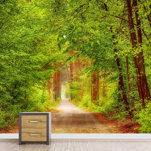 Vista 11 de SIGNFORD Adhesivo removible de pared/mural de pared, verde esmeralda, sol, bosque, árbol, árbol, naturaleza, desierto, fotografía, realismo