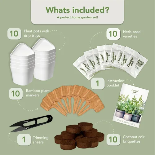 Vista 2 de Garden Pack Jardín de hierbas para ventana interior de 10 hierbas, incluye macetas, bandejas y tierra comprimida para un fácil cultivo de hierbas