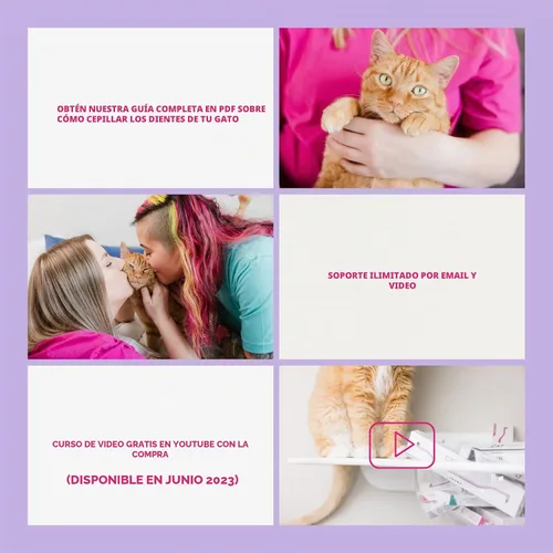 Vista 7 de RYERCAT Cepillo de dientes para gatos de doble cara, micro cabeza para Amatista Púrpura