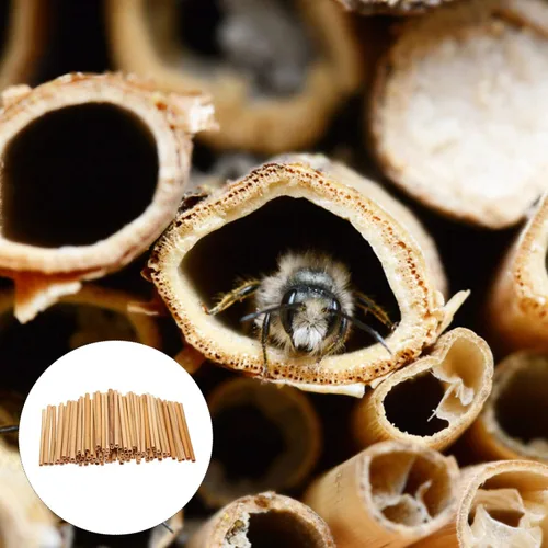 Vista 8 de Tofficu Mason Bee - Tubos de caña de anidación para casas de abejas, tubo de abeja de caña, 100 tubos de abeja masón, paquete de repuesto de casa