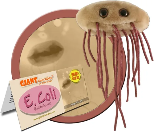 Vista 2 de Giant Microbes peluche de tejido suave en forma de E. Coli (escherichia Coli)
