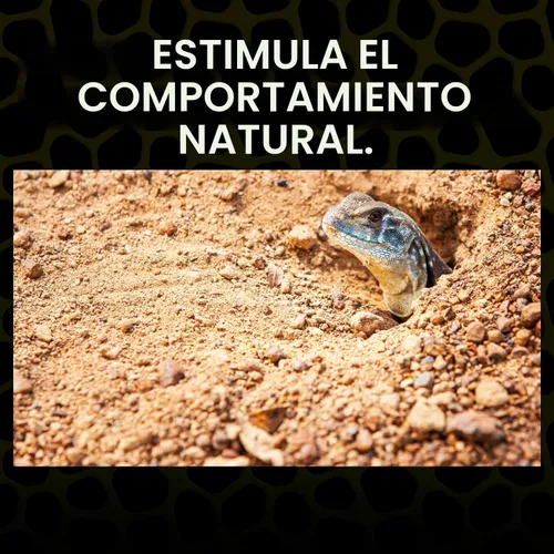 Vista 3 de Exo Terra Arena de Desierto, 4.5 Kilogramos, Negra