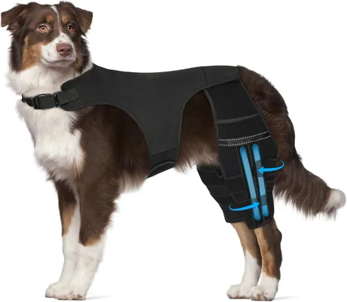 Vista 9 de Rodillera para perro para pierna trasera desgarrada, 4 estabilizadores, soporte de cadera ajustable para reducir el dolor, lesiones de ligamentos