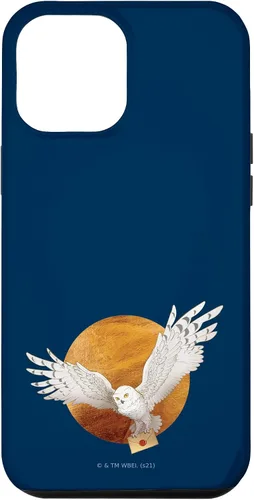 Vista 26 de Harry Potter Hedwig and The Moon Case for iPhone 17