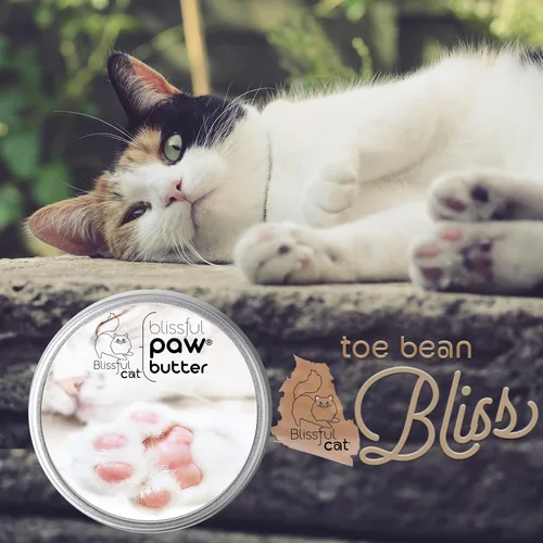Vista 8 de The Blissful Cat Paw Butter, hidratante para almohadillas secas para patas, suaviza y protege una pata áspera, versátil bálsamo para patas de gato